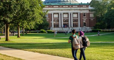 University of Illinois hosted state-funded committee meeting where professors advocated for reparations