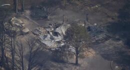 Urgent search for family missing after Victorian bushfire