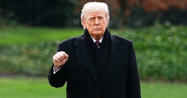 Venezuela could be just the first domino of Trump's 'Don-roe Doctrine'