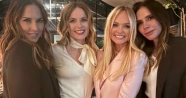 Victoria Beckham breaks cover as she parties with Spice Girls