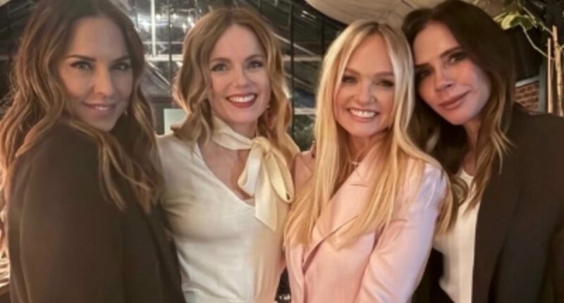 Victoria Beckham breaks cover as she parties with Spice Girls