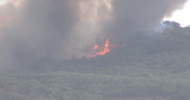 The Walwa bushfire has burned thorugh more than 1000 hectares of Mt Lawson National Park.