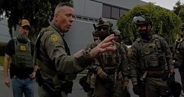 Video shows Greg Bovino ordering mass arrests in LA