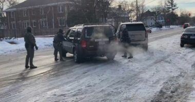 An ICE agent grabs the door handle of her car moments before the shooting.