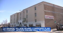 Village of La Grange, Illinois board considers developer's controversial plan to convert Jackson Square Mall into condos