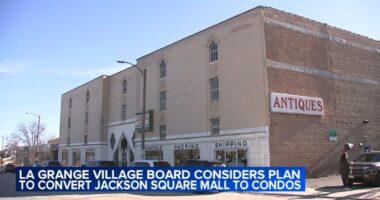 Village of La Grange, Illinois board considers developer's controversial plan to convert Jackson Square Mall into condos