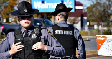 Virginia Democrats frustrate law enforcement with bill axing prison time for violent crime, expert warns