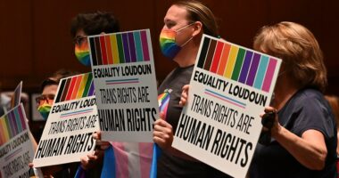 Virginia Dems introduce classroom DEI curriculum law on day 1 of legislative session