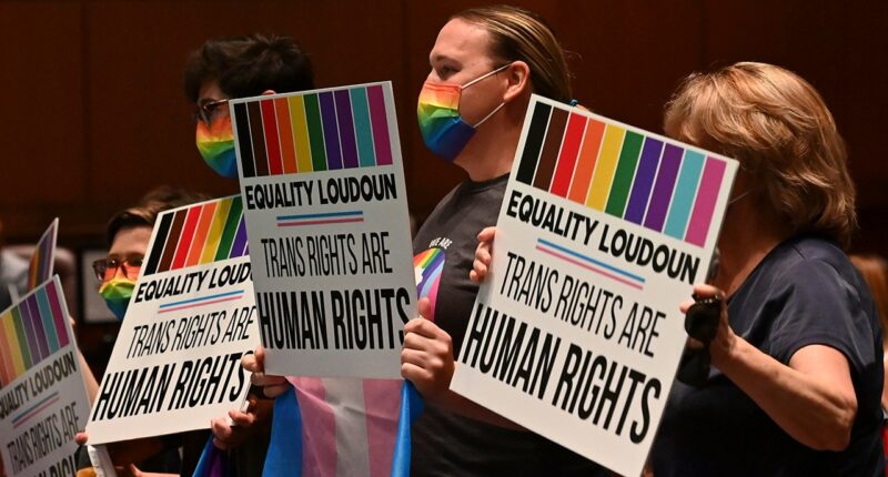 Virginia Dems introduce classroom DEI curriculum law on day 1 of legislative session