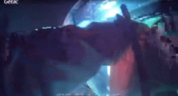 An officer pulls an injured man out of a vehicle following a crash