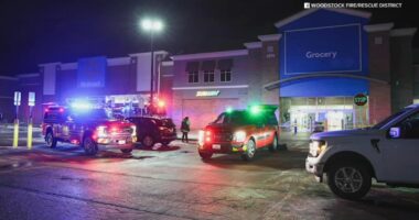 Walmart arson: Adilyn Monette ordered detained after Woodstock Walmart fire on Lake Avenue, McHenry County authorities say