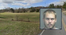 'Was not looking forward to it': Son stabbed mother to death while she was watching TV, then kept watching the show before he went to bed