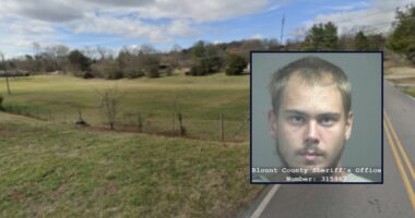 'Was not looking forward to it': Son stabbed mother to death while she was watching TV, then kept watching the show before he went to bed