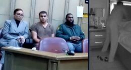 'Was that bad?': 15-year-old boy who calmly admitted stabbing his mother 46 times learns fate after abrupt plea change