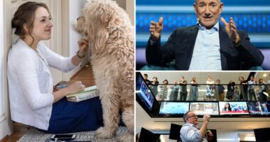 Washington Post staff furious as Jeff Bezos stays silent after FBI raids reporterâs home: 'nauseating and irresponsible'