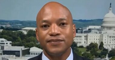 Wes Moore: Working with ICE to Do Arrests in Jail Will 'Make the Situation Worse'