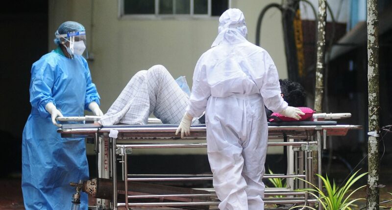 What is Nipah virus? The symptoms to know and where you're most at risk of the incurable disease sparking fears of a global outbreak