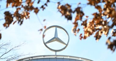 What the European Union-India trade deal means for auto giants