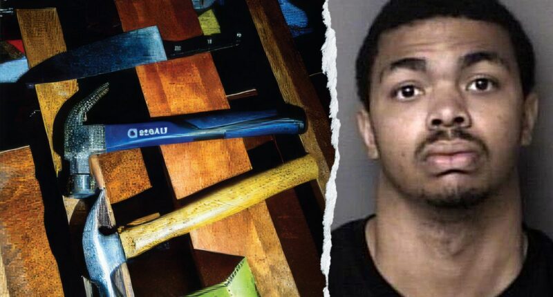 What we know about the alleged ISIS-inspired New Year’s Eve terror suspect