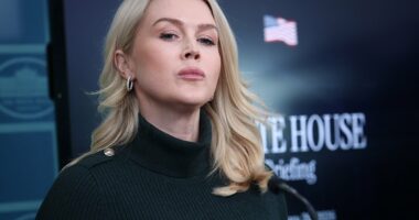 White House won't commit to releasing body cam footage in killing of Alex Pretti