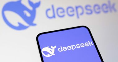 Why DeepSeek didn't cause an investor frenzy again in 2025