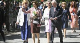 Why Sarah Ferguson was the only British royal to own the controversial Birkin bag - when other Windsor women shied away from the eye-wateringly expensive item