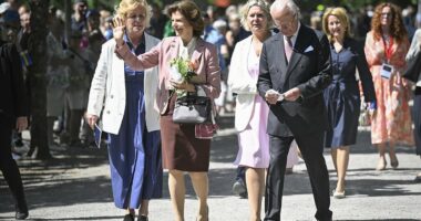 Why Sarah Ferguson was the only British royal to own the controversial Birkin bag - when other Windsor women shied away from the eye-wateringly expensive item