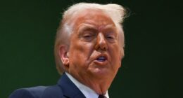 Why 'TACO Trump' (who Always Chickens Out) could be the death of the dollar: ALEX BRUMMER