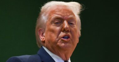 Why 'TACO Trump' (who Always Chickens Out) could be the death of the dollar: ALEX BRUMMER