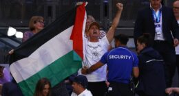 Why security has been boosted at the Australian Open this year - and what flags have been BANNED