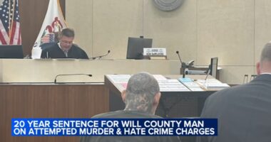 Will County man John Shadbar pleads guilty in hate crime case after shooting of Melissa Robertson in Lockport