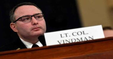 With Vindman in the running for Florida Senate Democratic nominee, Jenkins steps aside