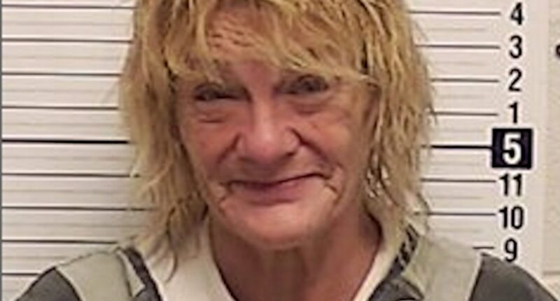 Woman Arrested for Allegedly Pouring Bleach into Roommate's Spaghetti