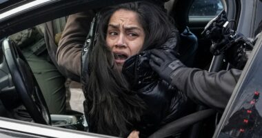 Woman dragged from car allegedly blocking ICE agents in Minnesota