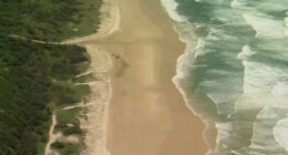Police have been left "traumatised" after a 19-year-old Canadian woman was found dead and surrounded by 10 dingoes on the Queensland island of K'gari this morning.