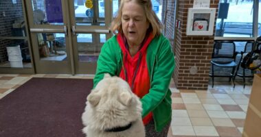 Woman gets call a year later from animal shelter about missing dog