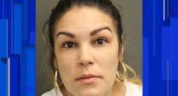 Woman sentenced 9 years in fatal hit-and-run crash that sent bicyclist off Brevard County bridge