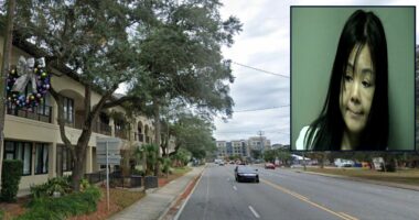 Woman tried to evade cops by 'defecating in a trash bin' as she fled massage parlor: Police