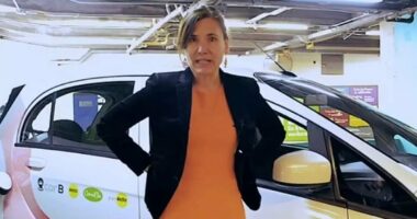 Woman 'who killed two girls with poisoned raspberries' is arrested