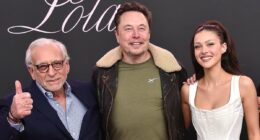 'Would anyone notice if Greenland was invaded?' Wild conspiracy theories swirl over Beckham feud as social media users suggest it's a Trump ruse to distract attention from world events