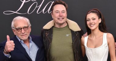 'Would anyone notice if Greenland was invaded?' Wild conspiracy theories swirl over Beckham feud as social media users suggest it's a Trump ruse to distract attention from world events