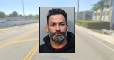 'You will not make fun of me': Man beat ex-girlfriend with bat and stole her phone two days after they broke up, police say