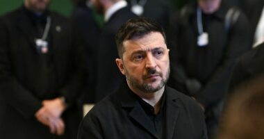 Zelensky and Putin could meet earlier than planned to end invasion