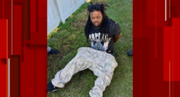 ‘Begging for help:’ Woman raped after man rushes her home, Brevard sheriff says