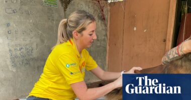 ‘I need to help’: Barnsley woman’s rabies death inspires dog-vaccinating mission