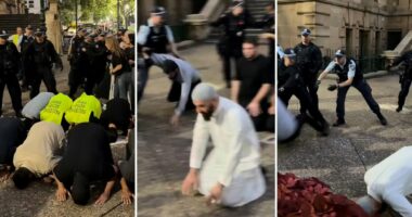 'Far too severe': Calls grow for public apology for Town Hall protest