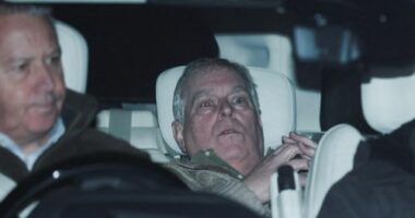 'First truly global scandal': More Andrew files are coming