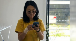 Tsai-Wei Hung  was jailed for up to six years and two months in Melbourne's County Court on Wednesday after pleading guilty to four arsons, extortion and conduct endangering persons.