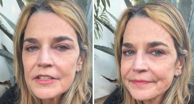 'It's never too late: US TV host pleads with mum's suspected kidnappers