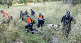 $1 million reward remains open as hundreds scour bush